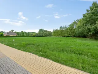 Bouwgrond te koop Westerlo (RBT04696)