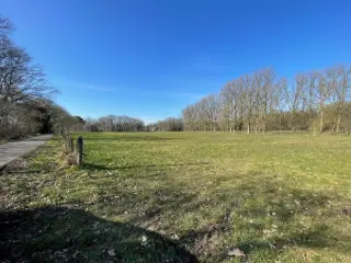 Landbouwgrond te koop Herentals (RBT08882)