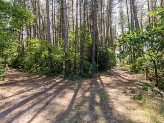 Bien divers à vendre Wechelderzande (RBT14847)