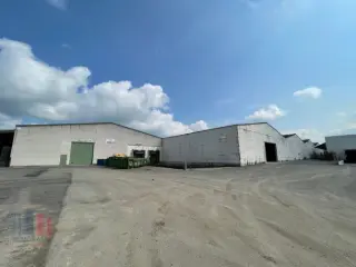 Industrie te huur Pittem (RBT17105)