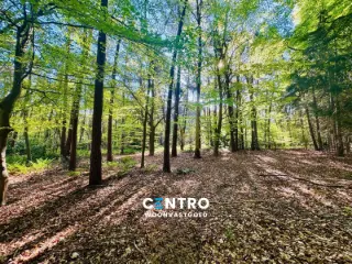 Terrain à bâtir à vendre Hertsberge (RBT19094)