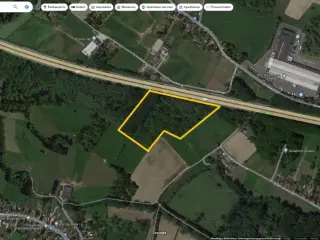 Wood for sale Ternat (RBT24250)