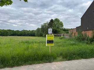 Development site for sale Hemiksem (RBT24799)