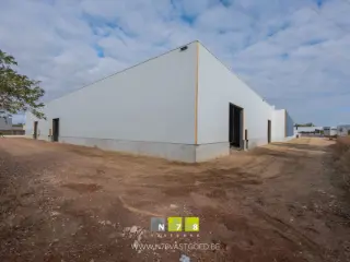 Surface industrielle à louer Maaseik (RBT25337)