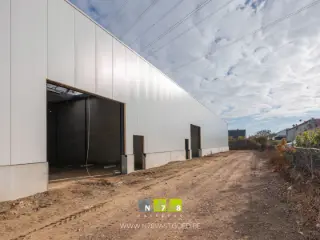 Surface industrielle à louer Maaseik (RBT25341)