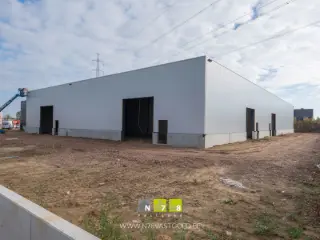 Surface industrielle à louer Maaseik (RBT25342)