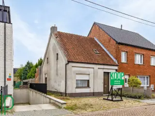 Maison à vendre Westerlo (RBT31311)