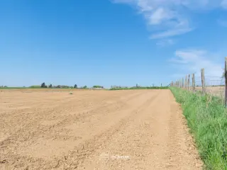 Farmland for sale Asse (RBT32223)