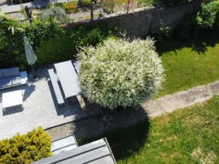 Appartement te koop Luxembourg (RBT33637)