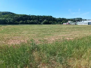 Land for rent Schieren (RBT37411)