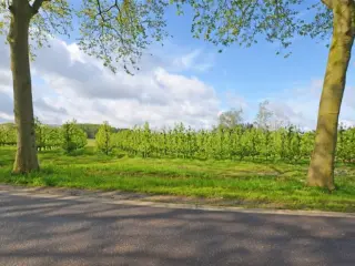 Development site for sale Hasselt (RBT39432)