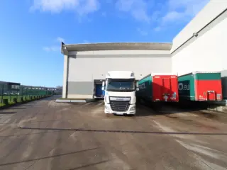 Industrial building for rent Sint-Niklaas (RBT39525)