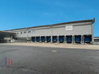 Industrial building for rent Sint-Niklaas (RBT39526)