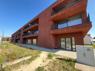 Handelspand te koop Drongen (RBT41439)