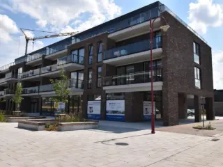 Handelspand te koop Aalter (RBT41978)