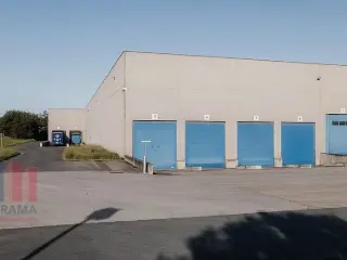 Industrie te huur Boortmeerbeek (RBT43901)