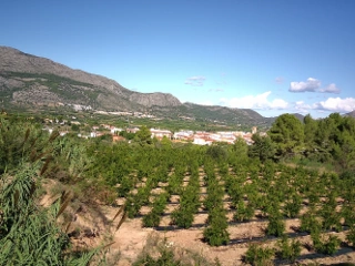 Huis te koop Orba (RBT48444)