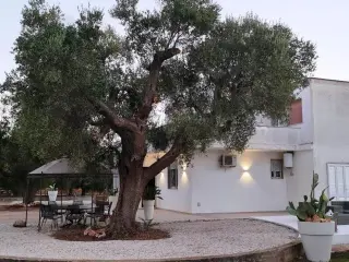 Huis te koop San Vito dei Normanni (RBT50019)