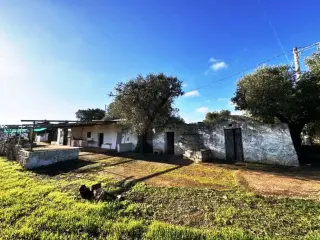 Residence for sale Ostuni (RBT50026)