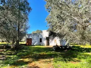 Maison à vendre Ceglie Messapica (RBT50149)