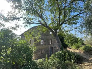 Maison à vendre Ripe San Ginesio (RBT50176)