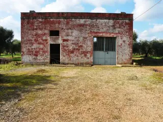 Huis te koop San Vito dei Normanni (RBT50354)