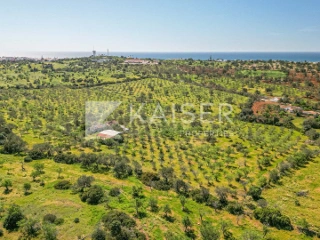 Residence for sale Albufeira (RBT56646)