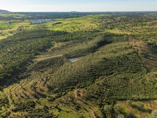 Huis te koop Mértola (RBT57187)