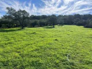 Residence for sale Pitsidia (RBT57383)