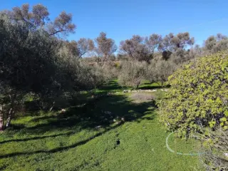 Residence for sale Faneromeni (RBT57387)