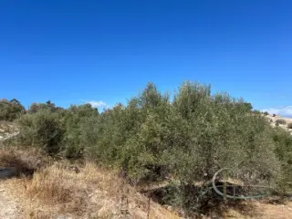 Residence for sale Kokkino Chorio (RBT57401)