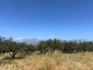 Residence for sale Kouses (RBT57433)