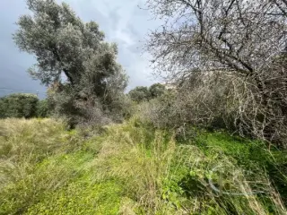 Residence for sale Kamilari (RBT57441)