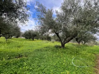 Residence for sale Tympaki (RBT57445)