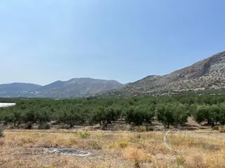 Residence for sale Kamilari (RBT57465)