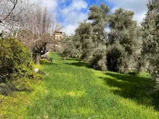 Residence for sale Moires (RBT57475)