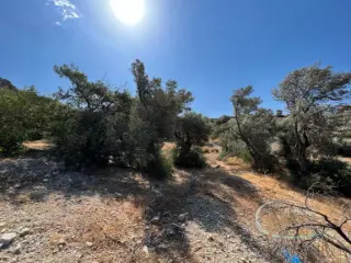 Maison à vendre Agia Galini (RBT57509)