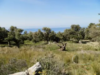 Residence for sale Agia Paraskevi (RBT57529)