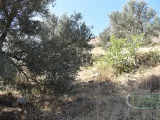 Huis te koop Kamilari (RBT57550)