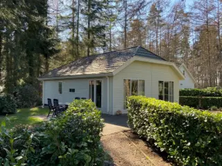 Maison à vendre Lochem (RBT59035)