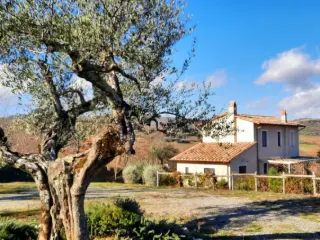 Residence for sale San Casciano dei Bagni (RBT60546)