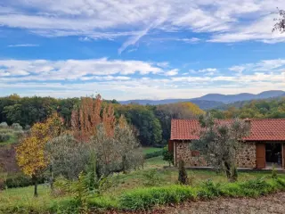 Huis te koop Sinalunga (RBT60588)