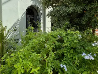 Apartment for sale Athens (RBT61182)