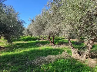 Residence for sale Rethimno (RBT61333)