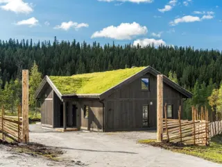 Maison à vendre Nesbyen (RBT61370)