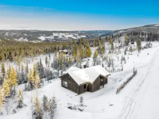 Maison à vendre Nesbyen (RBT61371)