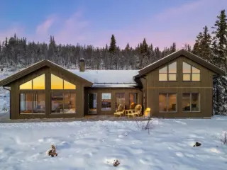 Maison à vendre Nesbyen (RBT61373)