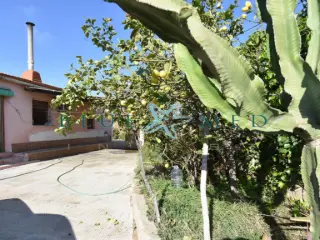 Maison à vendre Las Balsicas (RBT61694)