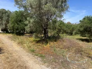 Residence for sale Sivas (RBT62156)