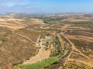 Maison à vendre Mértola (RBT62178)